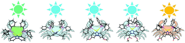 Graphical abstract: Intramolecular aurophilic interactions in dinuclear gold(i) complexes with twisted bridging 2,2′-bipyridine ligands