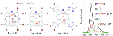 Graphical abstract: Water-soluble sulfonated phosphorus(v) corrolazines and porphyrazines: the effect of macrocycle contraction and pyrazine ring fusion on spectral, acid–base and photophysical properties