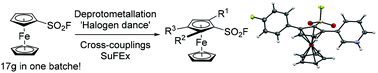 Graphical abstract: The chemistry of ferrocenesulfonyl fluoride revealed
