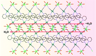 Graphical abstract: Reversible colour/luminescence colour changes of tetracyanoruthenium(ii) complexes by sorption/desorption of water molecules in crystals
