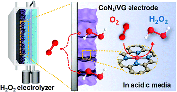 Graphical abstract: Atomic Co decorated free-standing graphene electrode assembly for efficient hydrogen peroxide production in acid