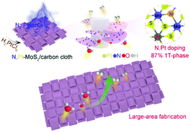 Graphical abstract: Plasma-induced large-area N,Pt-doping and phase engineering of MoS2 nanosheets for alkaline hydrogen evolution