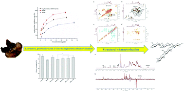 Graphical abstract: Separation, characterization and hypoglycemic activity in vitro evaluation of a low molecular weight heteropolysaccharide from the fruiting body of Phellinus pini