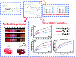 Graphical abstract: Preparation of acylated blueberry anthocyanins through an enzymatic method in an aqueous/organic phase: effects on their colour stability and pH-response characteristics