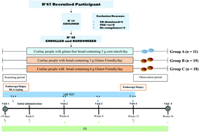 Graphical abstract: Healthy and pro-inflammatory gut ecology plays a crucial role in the digestion and tolerance of a novel Gluten Friendly™ bread in celiac subjects: a randomized, double blind, placebo control in vivo study