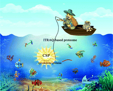 Graphical abstract: Kaempferol-3-O-rutinoside, a flavone derived from Tetrastigma hemsleyanum, suppresses lung adenocarcinoma via the calcium signaling pathway