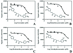 Graphical abstract: In vitro and in silico evaluation of EGFR targeting activities of curcumin and its derivatives