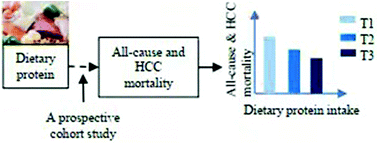Graphical abstract: Dietary protein and prognosis of hepatocellular carcinoma: a prospective cohort study