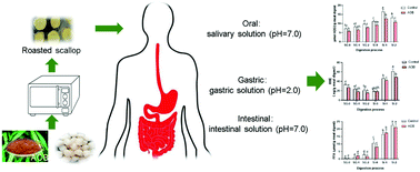 Graphical abstract: Lipid oxidation and aldehyde formation during in vitro gastrointestinal digestion of roasted scallop (Patinopecten yessoensis) – the role of added antioxidant of bamboo leaves