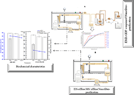 Graphical abstract: Highly stable, antihypertensive, and antioxidative peptide production from Apostichopus japonicus by integrated enzymatic membrane reactor and nanofilter-purification mechanism