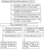 Graphical abstract: Ultra-processed food consumption and the risk of subclinical thyroid dysfunction: a prospective cohort study