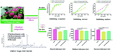 Graphical abstract: Hypoglycemic effects of Rhodiola crenulata (HK. f. et. Thoms) H. Ohba in vitro and in vivo and its ingredient identification by UPLC-triple-TOF/MS