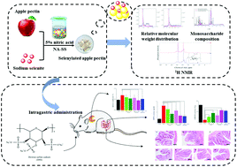 Graphical abstract: Structural characterization, acute toxicity assessment and protective effects of selenylated apple pectin on dextran sulfate sodium-induced ulcerative colitis