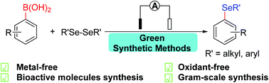 Graphical abstract: An electrochemical method for deborylative selenylation of arylboronic acids under metal- and oxidant-free conditions