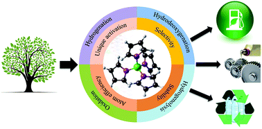 Graphical abstract: Conversion of biomass-derived feedstocks into value-added chemicals over single-atom catalysts