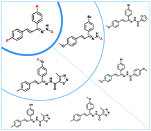 Graphical abstract: Introducing the metacore concept for multi-target ligand design