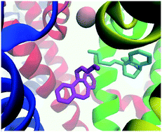 Graphical abstract: Inhibition of N-type calcium ion channels by tricyclic antidepressants – experimental and theoretical justification for their use for neuropathic pain