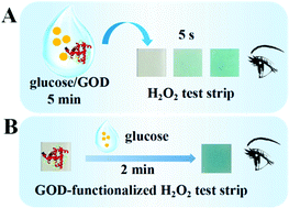 Graphical abstract: Visual detection of glucose by hydrogen peroxide test strips