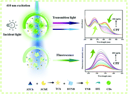 Graphical abstract: Fluorimetric and ratiometric colorimetric dual-mode detection of organophosphorus pesticides based on carbon dots/DTNB