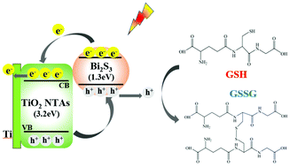 Graphical abstract: A photoelectrochemical sensor for glutathione based on Bi2S3-modified TiO2 nanotube arrays