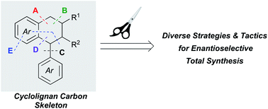 Graphical abstract: Recent strategies and tactics for the enantioselective total syntheses of cyclolignan natural products