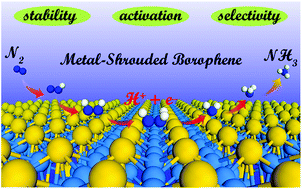 Graphical abstract: Two-dimensional transition metal borides as high activity and selectivity catalysts for ammonia synthesis