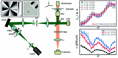 Graphical abstract: Precise measurement of trapping and manipulation properties of focused fractional vortex beams