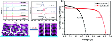 Graphical abstract: Regulating crystallization dynamics and crystal orientation of methylammonium tin iodide enables high-efficiency lead-free perovskite solar cells
