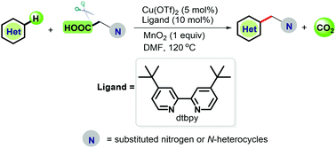 Graphical abstract: Decarboxylative C–H alkylation of heteroarenes by copper catalysis