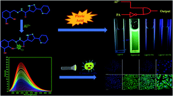 Graphical abstract: Pyridine-pyrazole based Al(iii) ‘turn on’ sensor for MCF7 cancer cell imaging and detection of picric acid