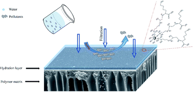 Graphical abstract: Design of a novel poly(aryl ether nitrile)-based composite ultrafiltration membrane with improved permeability and antifouling performance using zwitterionic modified nano-silica