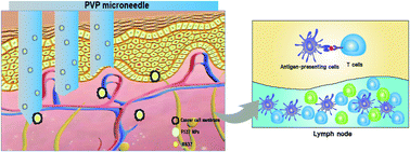 Graphical abstract: Dissolving microneedles delivering cancer cell membrane coated nanoparticles for cancer immunotherapy
