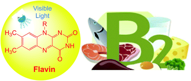 Graphical abstract: Synthetic applications of flavin photocatalysis: a review
