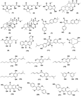 Graphical abstract: Recent updates on the bioactive compounds of the marine-derived genus Aspergillus