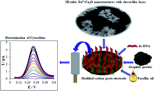 Graphical abstract: A label-free electrochemical biosensor based on 3D cubic Eu3+/Cu2O nanostructures with clover-like faces for the determination of anticancer drug cytarabine
