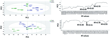 Graphical abstract: Seasonal dynamics of the phenolic constituents of the cones and leaves of oriental Thuja (Platycladus orientalis L.) reveal their anti-inflammatory biomarkers