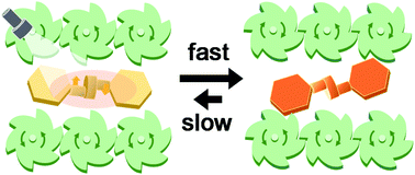 Graphical abstract: Ratchet-like mechanism in a long-life photoproduct of salicylideneaniline enclathrated in a pillared-layer guanidinium disulfonate structure
