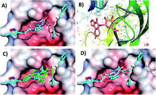 Graphical abstract: Natural coumarins as potential anti-SARS-CoV-2 agents supported by docking analysis