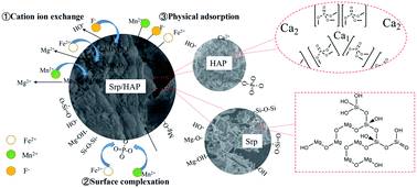 Graphical abstract: Preparation, characterization serpentine-loaded hydroxyapatite and its simultaneous removal performance for fluoride, iron and manganese