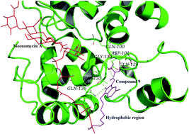 Graphical abstract: Rational structural modification of the isatin scaffold to develop new and potent antimicrobial agents targeting bacterial peptidoglycan glycosyltransferase