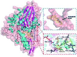 Graphical abstract: Inhibitory properties of saponin from Eleocharis dulcis peel against α-glucosidase