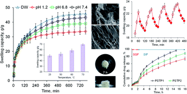 Graphical abstract: A pH-sensitive, stimuli-responsive, superabsorbent, smart hydrogel from psyllium (Plantago ovata) for intelligent drug delivery