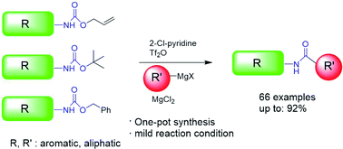 Graphical abstract: Practical one-pot amidation of N-Alloc-, N-Boc-, and N-Cbz protected amines under mild conditions