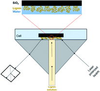 Graphical abstract: Deposition behavior of lignin on solid surfaces assessed by stagnation point adsorption reflectometry