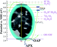 Graphical abstract: Synthesis of highly crystalline LaFeO3 nanospheres for phenoxazinone synthase mimicking activity