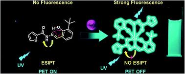 Graphical abstract: A highly selective “turn-on” water-soluble fluorescent sensor for gallium ion detection