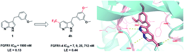 Graphical abstract: Design, synthesis and biological evaluation of 1H-pyrrolo[2,3-b]pyridine derivatives as potent fibroblast growth factor receptor inhibitors