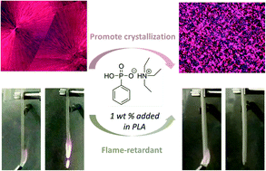 Graphical abstract: Simultaneously enhancing the crystallization rate and fire retardancy of poly(lactic acid) by using a novel bifunctional additive trimethylamine phenylphosphonate