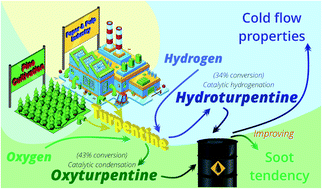 Graphical abstract: Hydrogenated or oxyfunctionalized turpentine: options for automotive fuel components