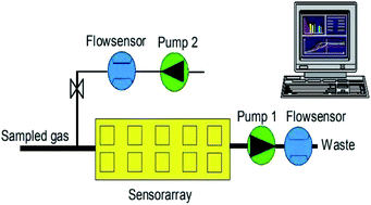 Graphical abstract: A novel electronic nose for the detection and classification of pesticide residue on apples
